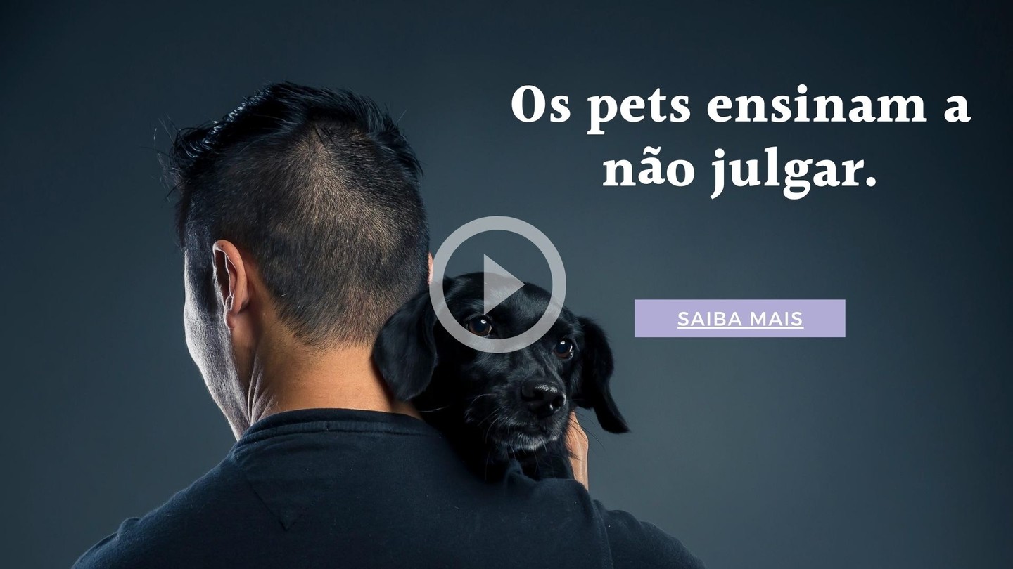 Os Pets Nos Ensinam A N O Julgar