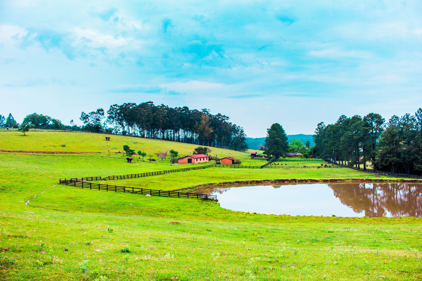 Paisagens Rurais - Título Do Site