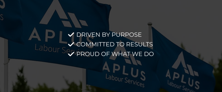 About A Plus Labour Services | Container Crew Perth Experts