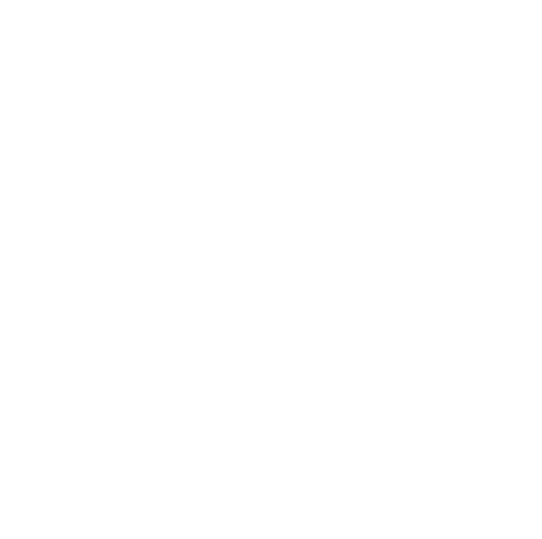 Chris Ferreira Fotografia
