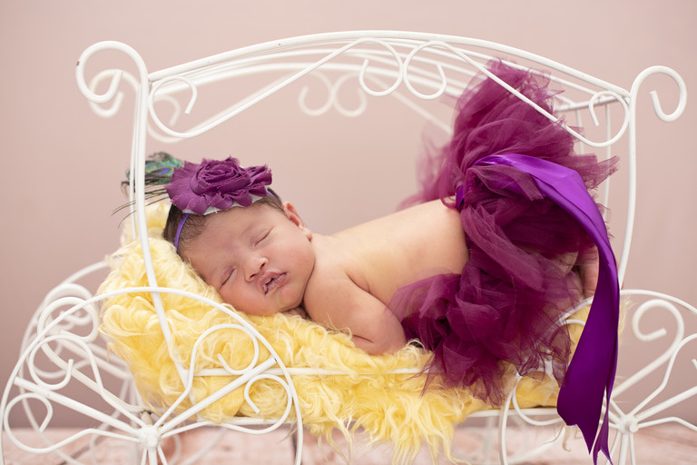 Saia de best sale tule newborn