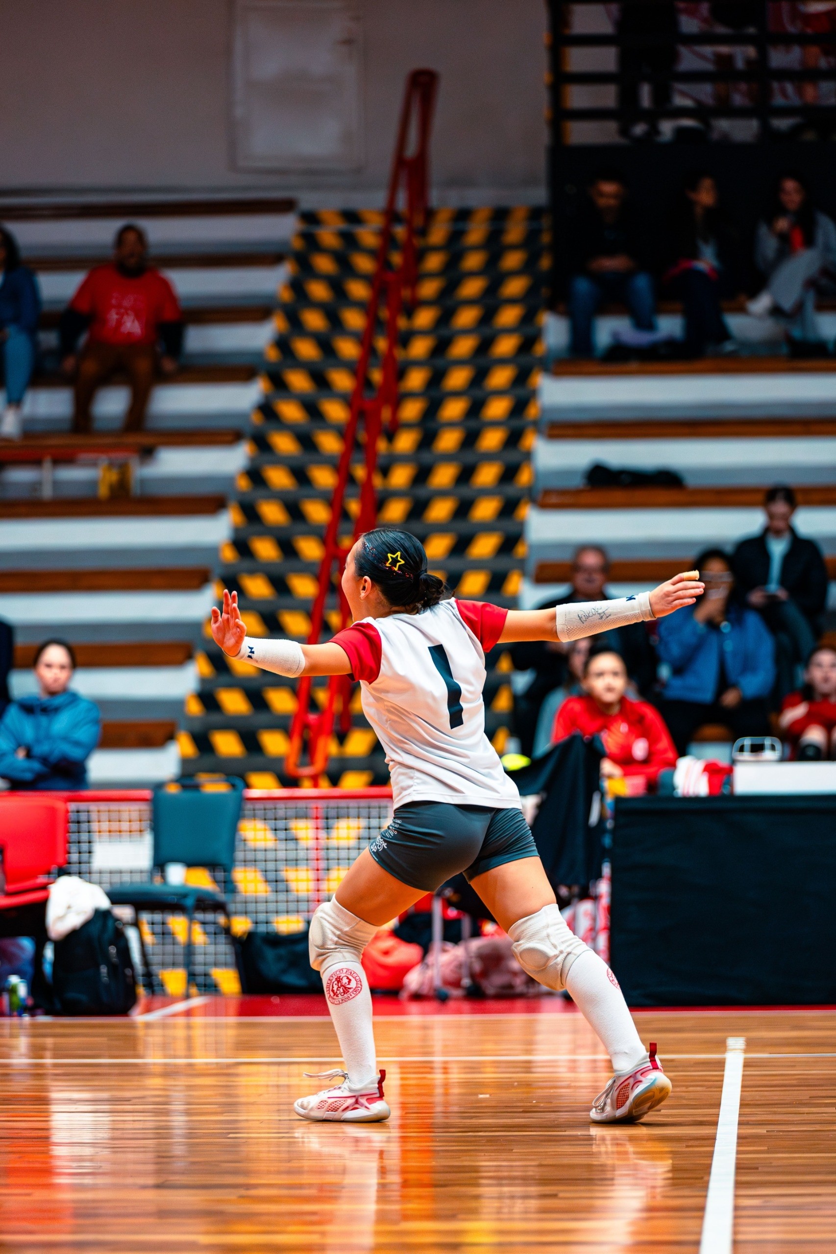 Vôlei — foto 9