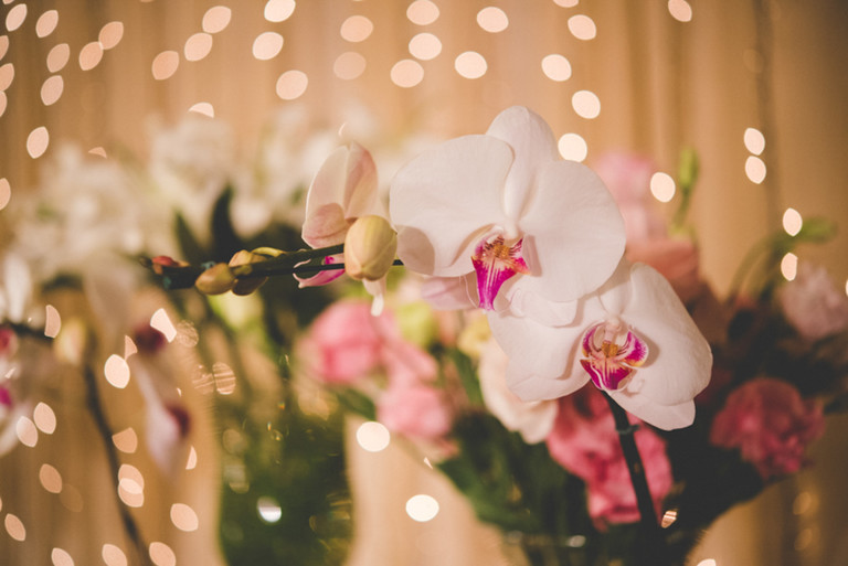 Arminda Antunes Decoracao e Flores Ltda