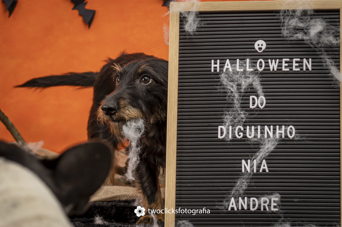 PET – Conservação e Restauro » CINEPET-CR – Halloween 2023