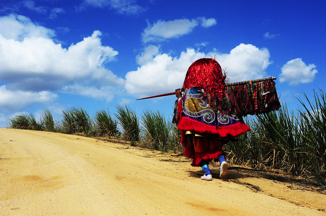 Walter Firmo Ladrao Engenheiro E Invisivel